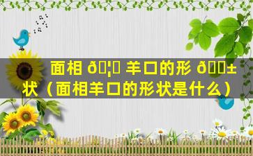 面相 🦅 羊口的形 🐱 状（面相羊口的形状是什么）